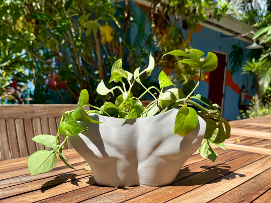 Get It Off Your Chest male bust planter, side view