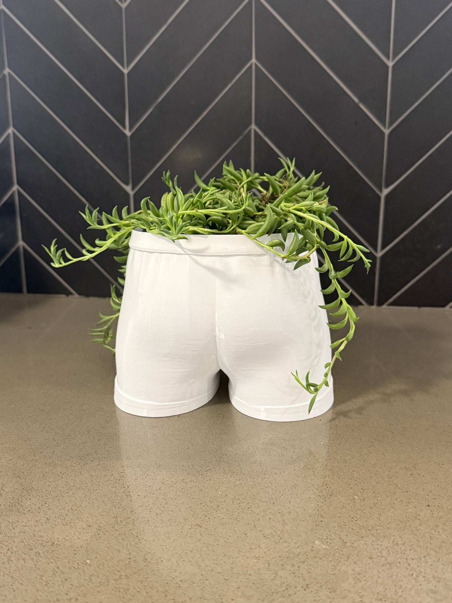 "Full Support" | The Cheeky Briefs Planter