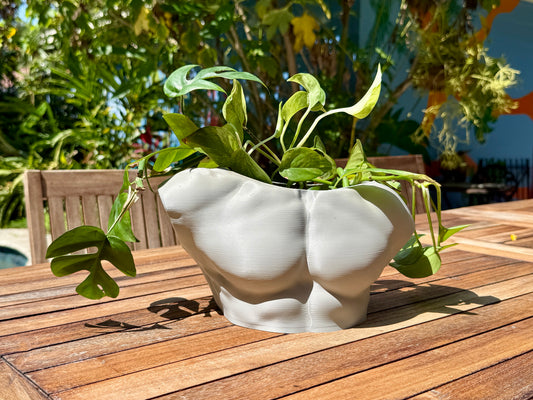 Get It Off Your Chest male bust planter, front view
