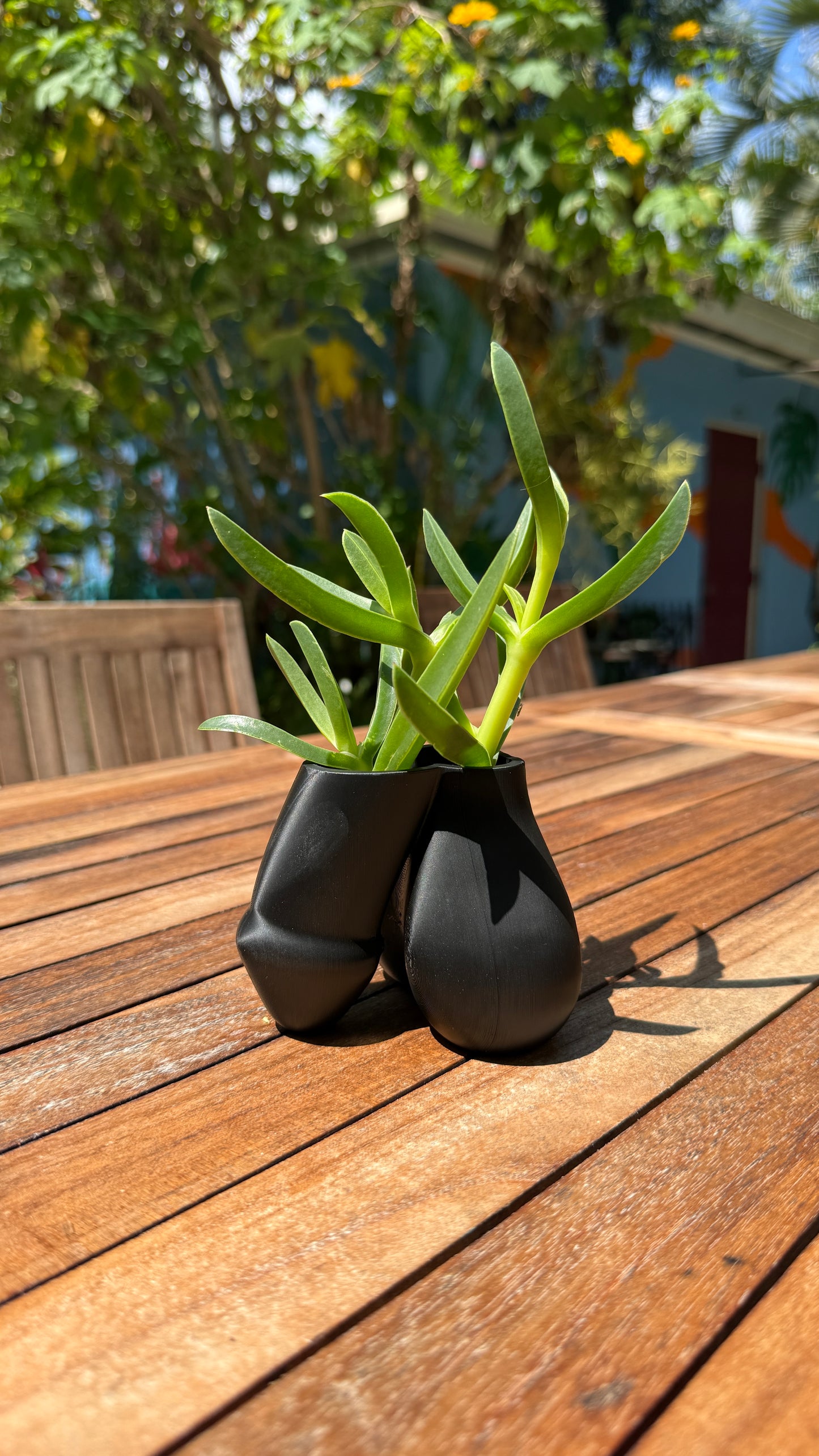 Sack of Succulents cheeky dual-bulb planter, side view