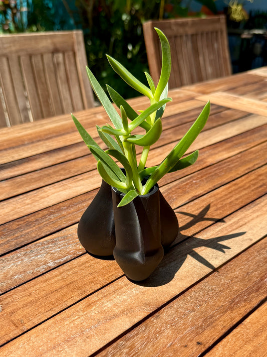 Sack of Succulents cheeky dual-bulb planter, front view