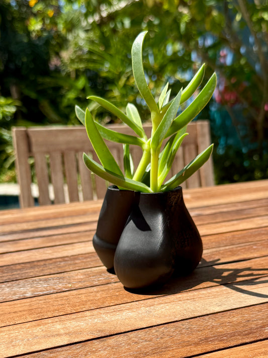 Sack of Succulents cheeky dual-bulb planter, top-down view