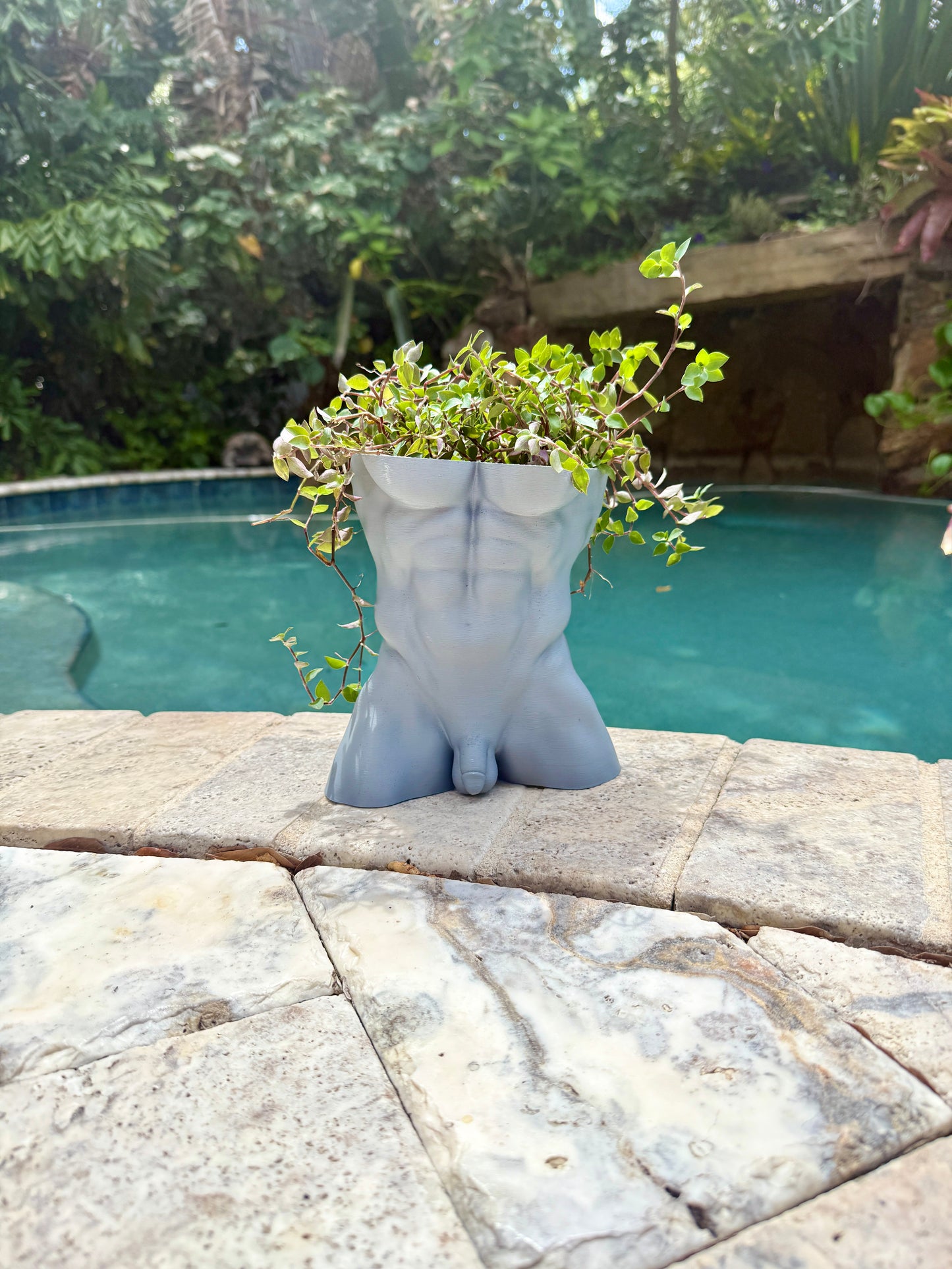 The Full Monty uncensored anatomical male torso planter, front view
