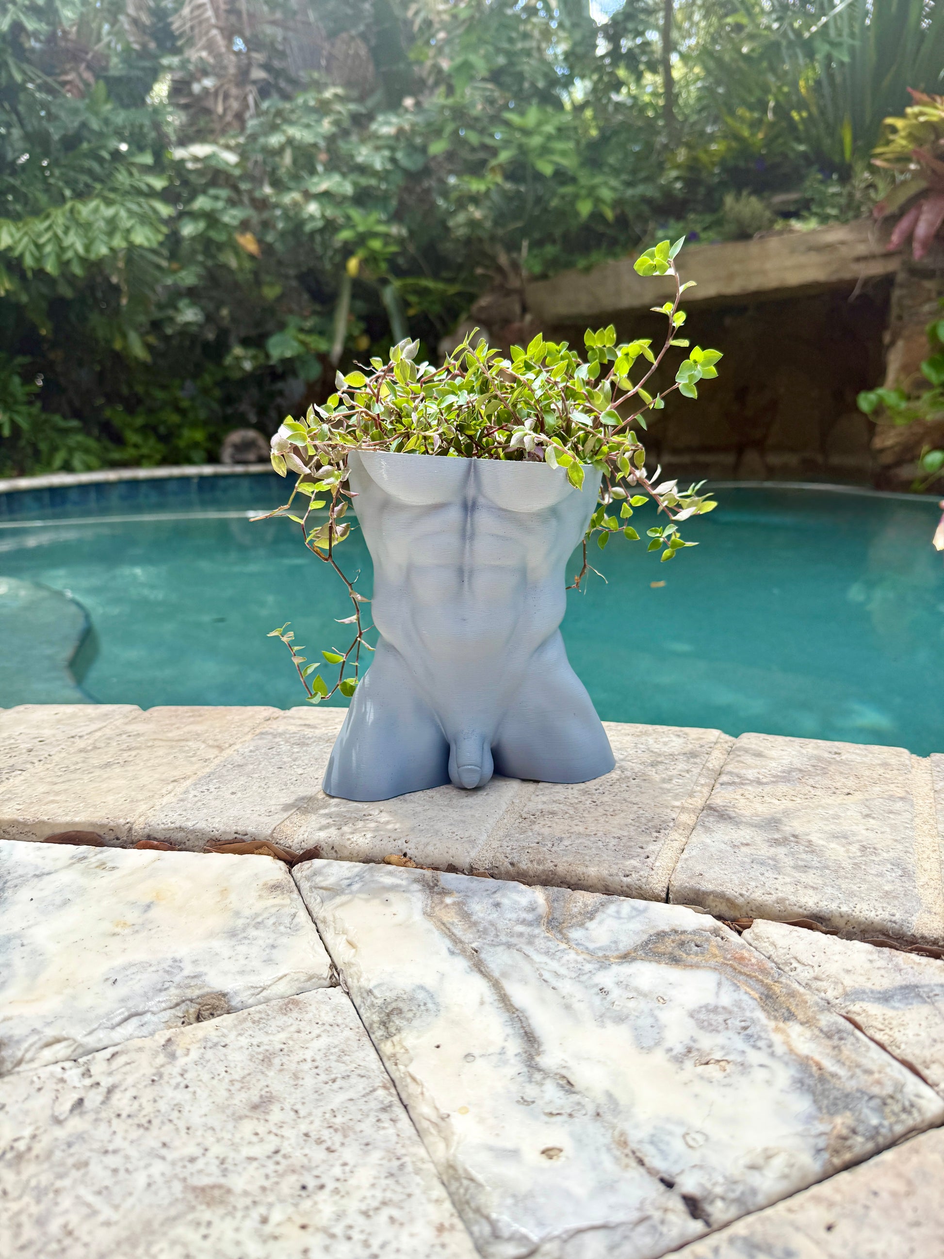 The Full Monty uncensored anatomical male torso planter, front view