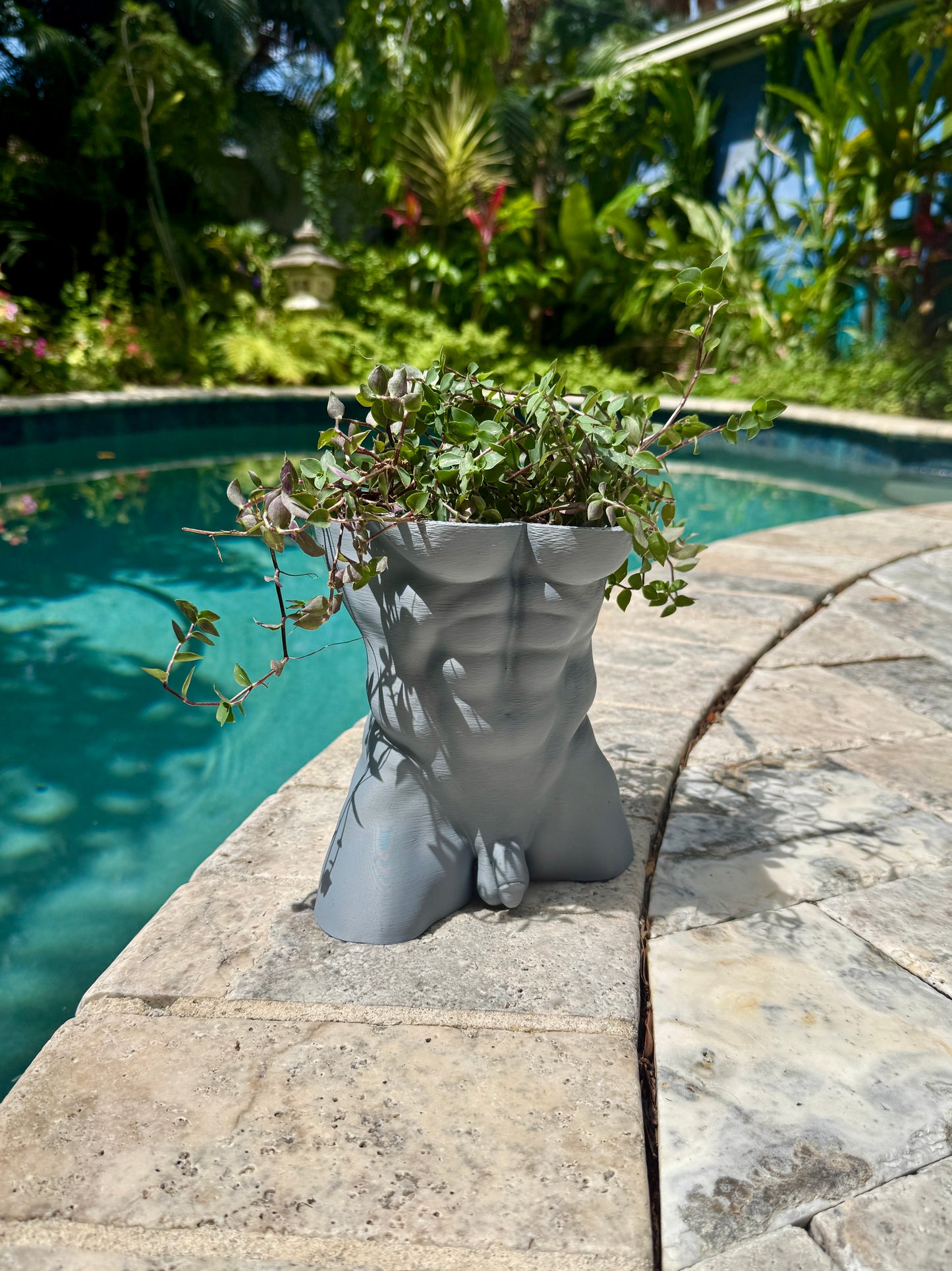 The Full Monty uncensored anatomical male torso planter, side view