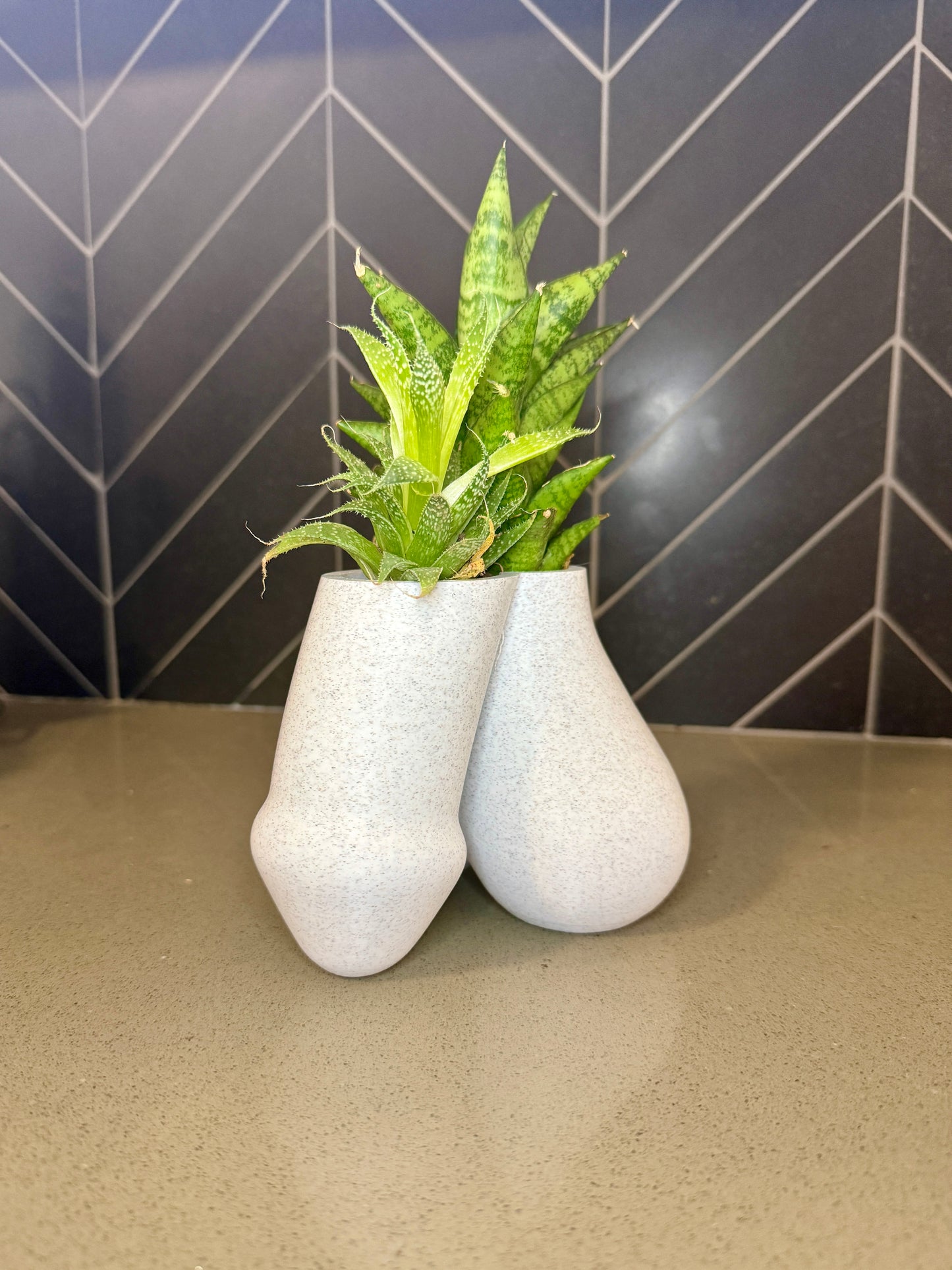 Sack of Succulents dual-bulb planter, additional color option
