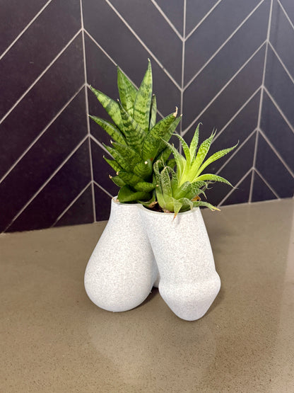 Sack of Succulents dual-bulb planter, additional size option
