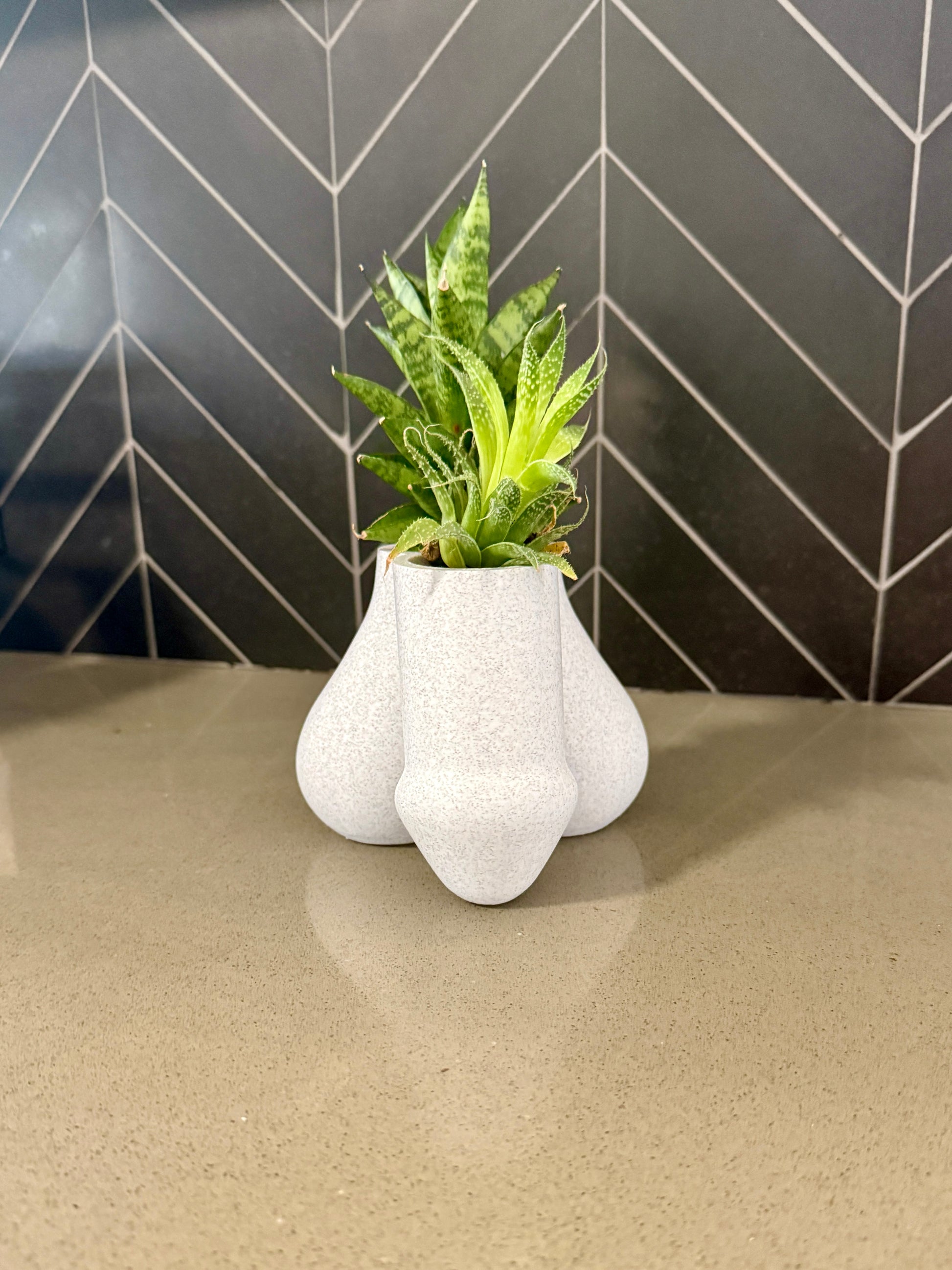 Sack of Succulents dual-bulb planter styled with succulents