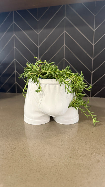 "Full Support" | The Cheeky Briefs Planter