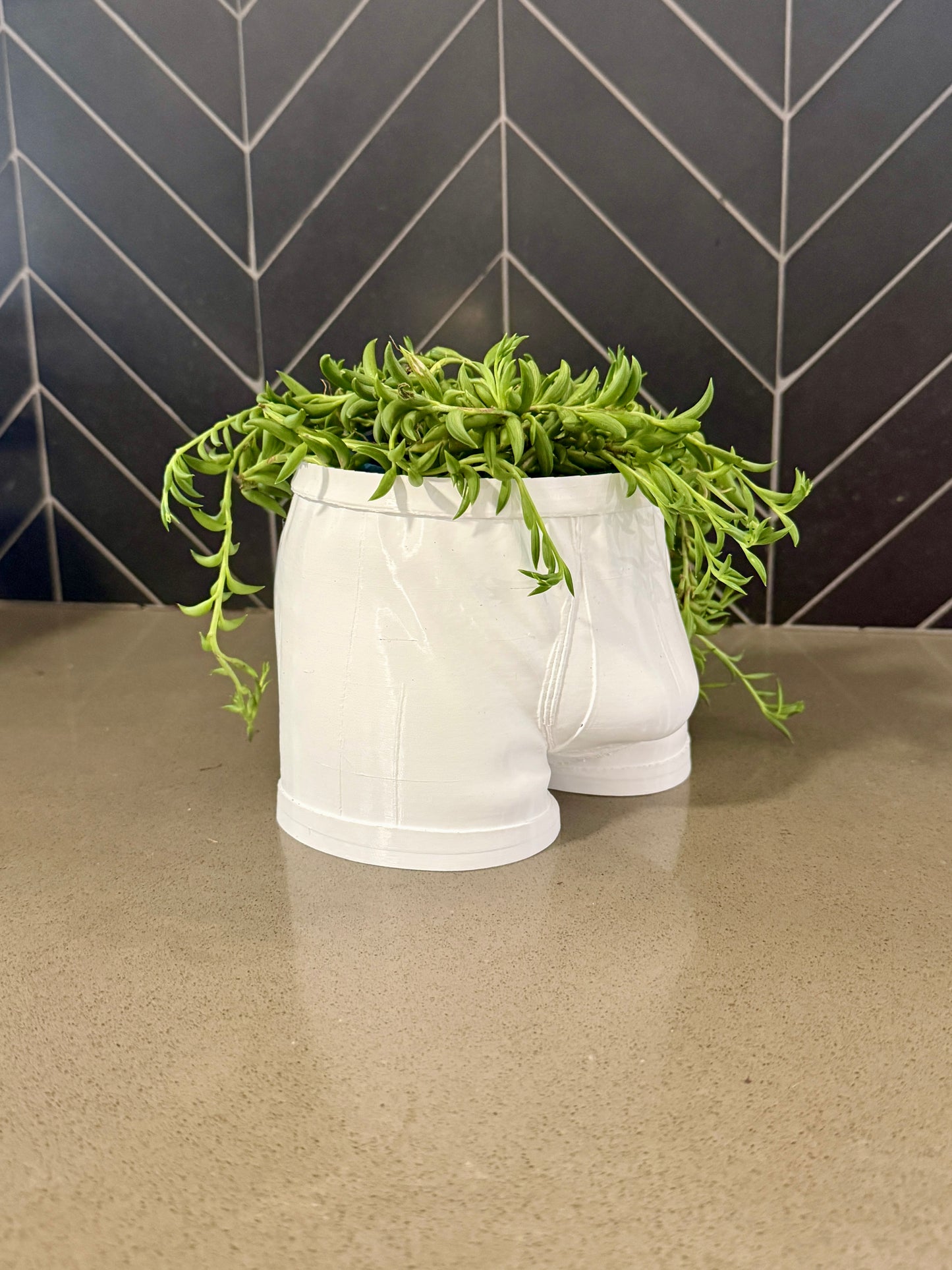 "Full Support" | The Cheeky Briefs Planter