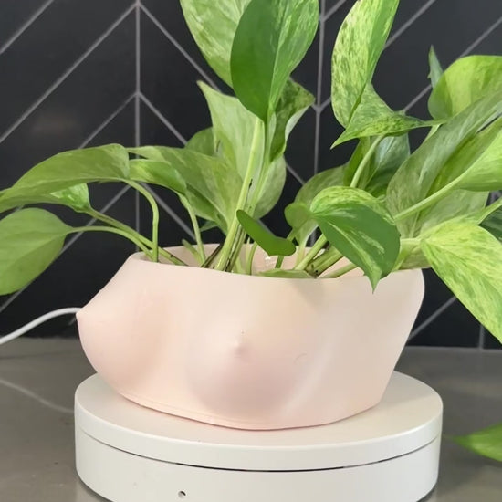 Video showcasing the Topless female torso bowl by Peckers Co from multiple angles