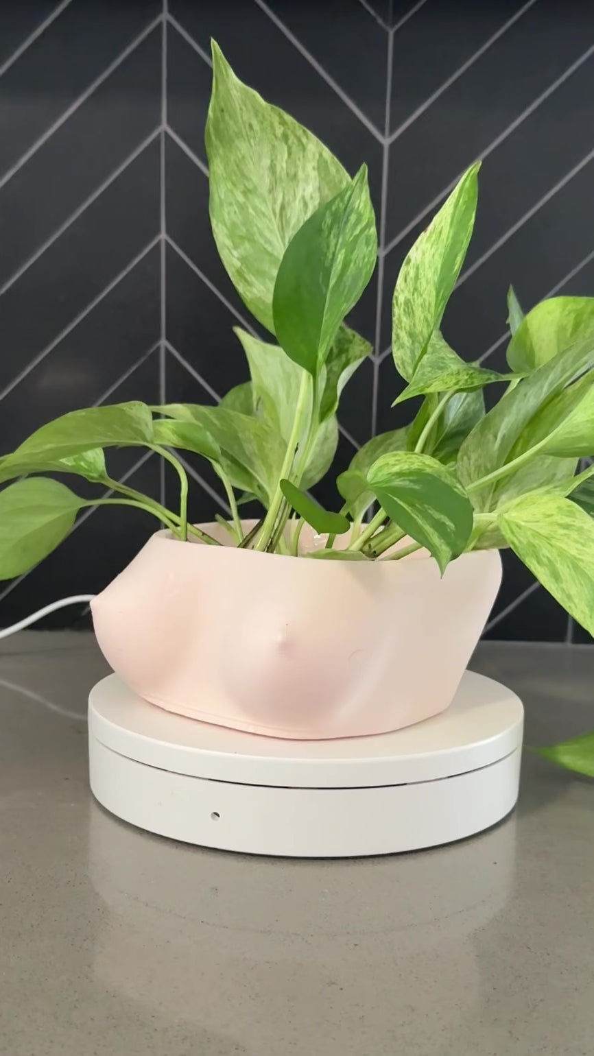 Video showcasing the Topless female torso bowl by Peckers Co from multiple angles